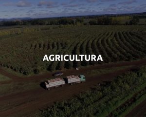 AGRICULTURA