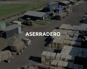 ASERRADERO